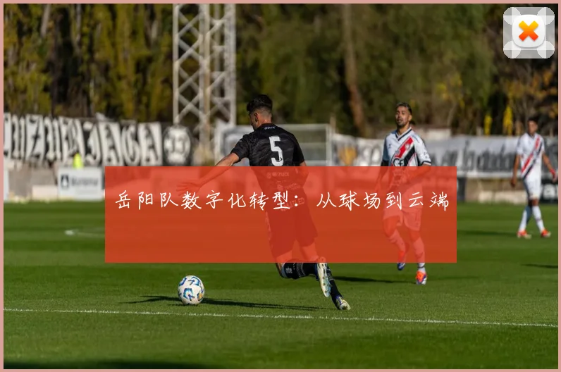 岳阳队数字化转型：从球场到云端