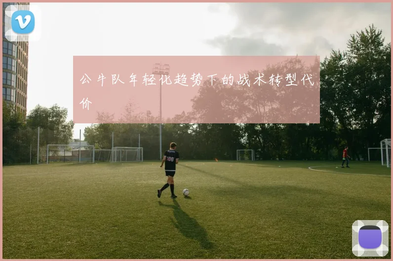 公牛队年轻化趋势下的战术转型代价