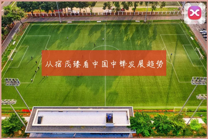 从宿茂臻看中国中锋发展趋势