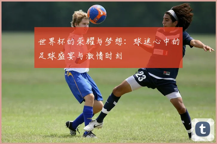 世界杯的荣耀与梦想：球迷心中的足球盛宴与激情时刻