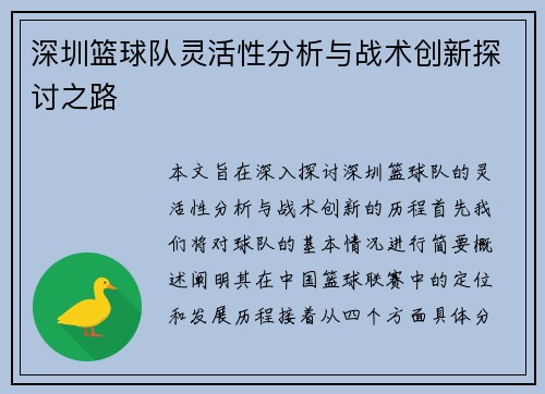 深圳篮球队灵活性分析与战术创新探讨之路